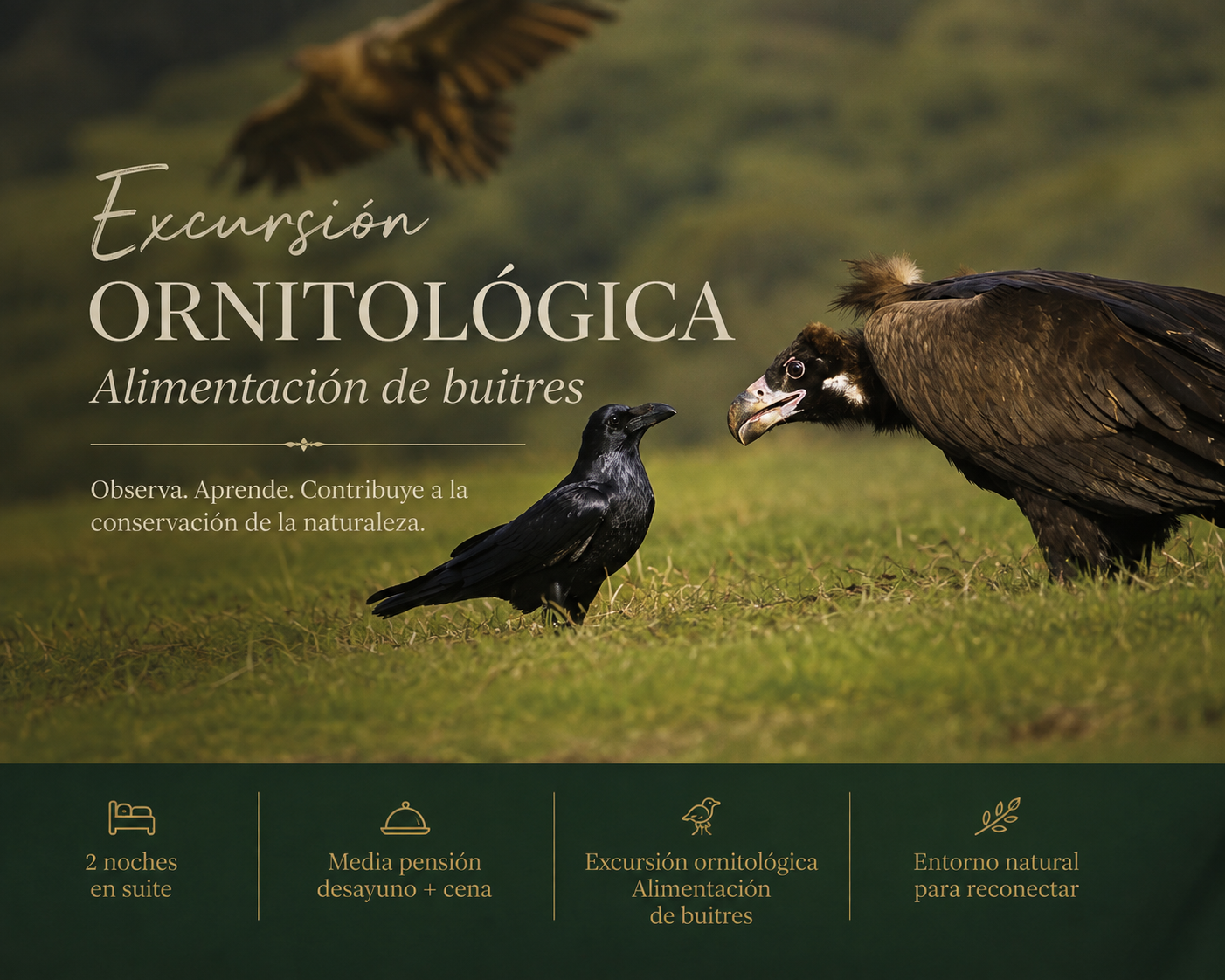 excursión-ornitologica